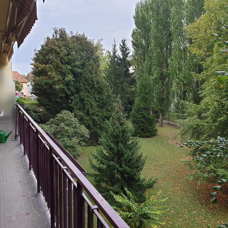 Cote Parc Appartement Schiltigheim Buitenkant foto