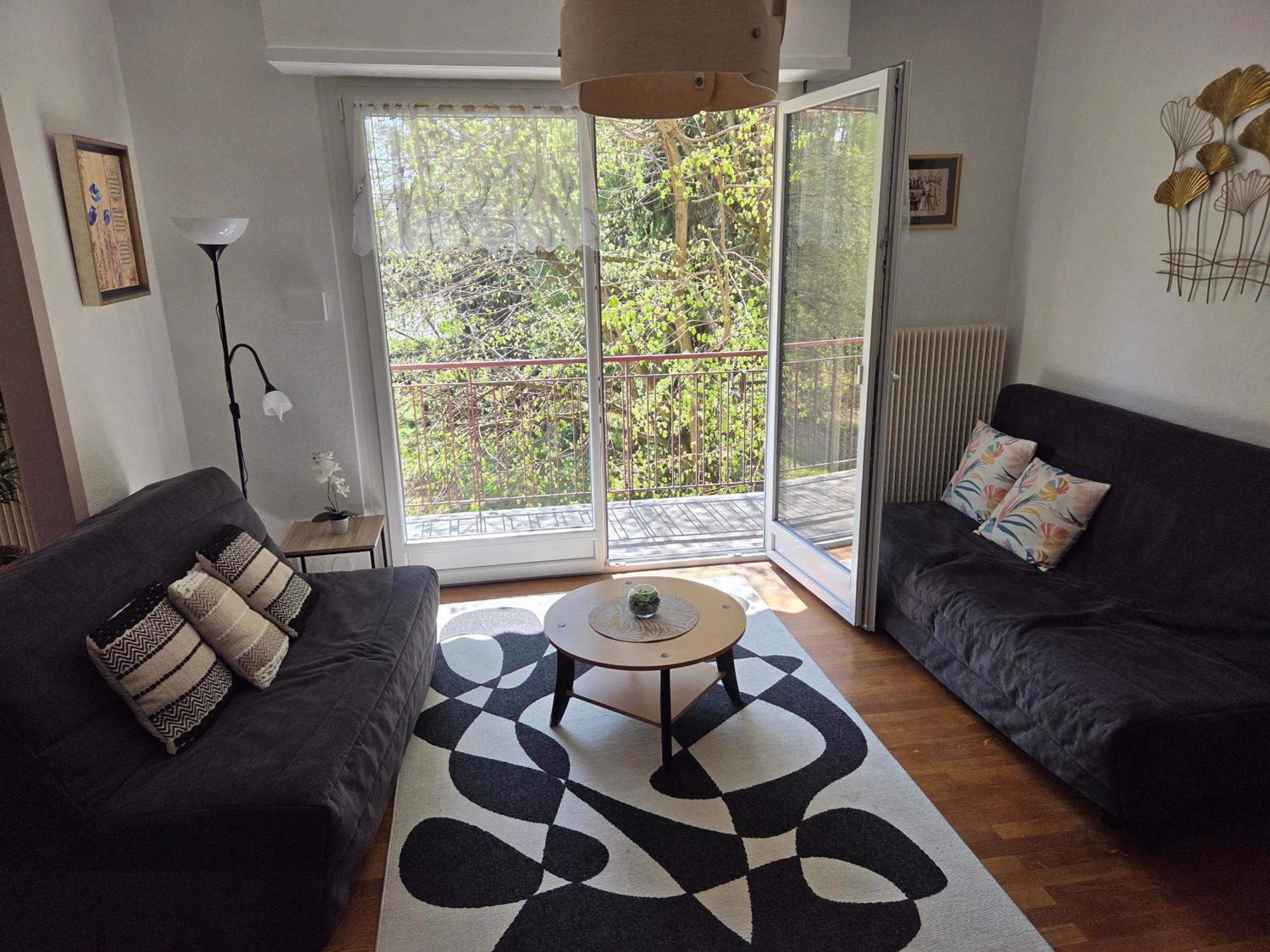 Cote Parc Appartement Schiltigheim Buitenkant foto